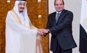 وزير المالية أمام فخامة الرئيس: قيمة مبلغ الدعم تصل إلى حوالي تريليون جنيه