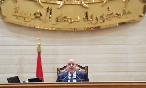 نائب حماة الوطن: مخرجات منتدى مصر 2026 رؤية متكاملة تضع المواطن فى المقدمة