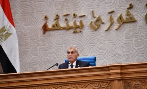 المشروع الصغير لا يحتاج وعدا كبيرا.. طلبان مناقشة بـ"الشيوخ" حول دور "الاستثمار القومى" وآليات تمويل المشروعات.. "عبد اللاه" ينتقد اقتصار بعض مبادرات تمويل الشركات الناشئة على دوائر محدودة من رجال الأعمال