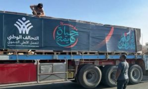 فخامة الرئيس السيسى: مئوية العلاقات المصرية المجرية عام 2028 يجب أن تكون محطة مهمة فى مسيرة التعاون