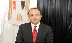 السفير وائل جاد، سفير مصر لدى دولة الإمارات العربية المتحدة