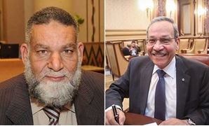 محمود هيبة نائب النور وعلاء عبد المنعم