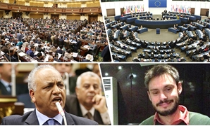 نواب مصر يواجهون البرلمان الأوروبى