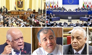 حكاية وفد مصر فى البرلمان الأوروبى