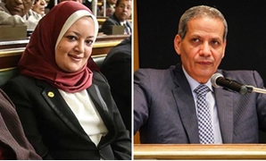  النائبة نشوى حسين + الوزير الهلالى الشربينى
