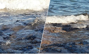 تلوث بترولى بشواطئ رأس غارب