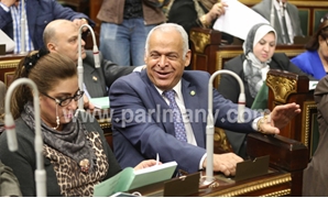 محمد فرج عامر رئيس لجنة الشباب والرياضة بالبرلمان
