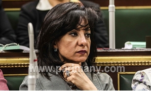 داليا يوسف عضو لجنة العلاقات الخارجية بمجلس النواب