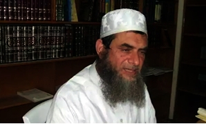 الشيخ محمود لطفى عامر