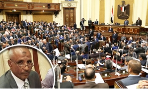 عامر الحناوى عضو مجلس النواب عن محافظة أسوان