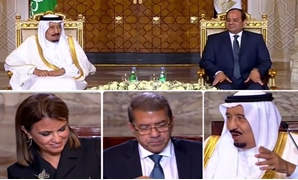 القمة المصرية السعودية
