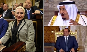  زينب سالم عضو مجلس النواب والسيسى والملك سلمان اليوم
