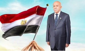 فيصل عبد الرحمن بدر النائب بمجلس النواب عن قائمة فى حب مصر