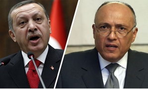 رجب طيب أردوغان رئيس تركيا و سامح شكرى وزير الخارجية المصرى