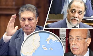 "دعم مصر" يناقش أزمة تيران وصنافير