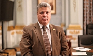 محمود يحى عضو مجلس النواب