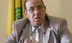 طلعت عبد القوى عضو لجنة الصحة بمجلس النواب