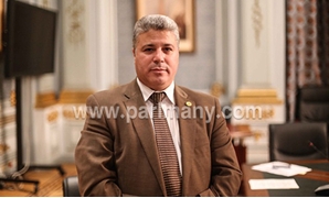 محمود يحى عضو مجلس النواب