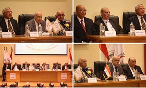 اللجنة العامة تعلن فوز محمد الشورى بمقعد طلخا