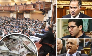 "الإخوان" نهبوا البرلمان