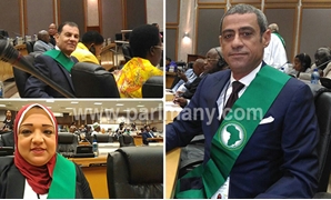 النواب فى جلسة البرلمان الإفريقى