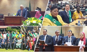 نص كلمة مصر أمام البرلمان الأفريقى