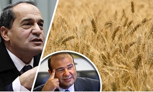أزمة القمح على مائدة "الزراعة"
