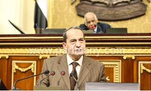 الدكتور عصام فايد وزير الزراعة واستصلاح الأراضى