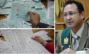 القضاء الإدارى يحسم اليوم مصير عدد كبير من الدوائر الانتخابية