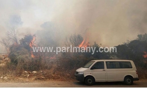  حريق الغابات الإسرائيلية
