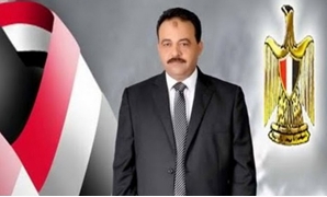 النائب أحمد إسماعيل عضو لجنة الدفاع بمجلس النواب