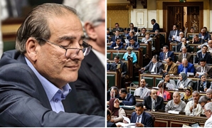الجلسة العامة لمجلس النواب - محمد بدوى دسوقى