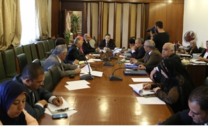 لجنة الشئون العربية بالبرلمان