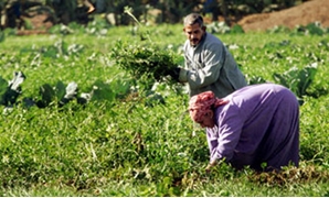 مزارعين فى مصر