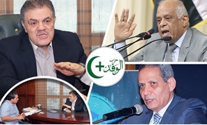 رئيس الوفد: "دعم مصر" سيتصدع
