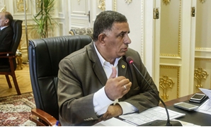 محمد وهب الله وكيل لجنة القوى العاملة بمجلس النواب