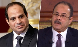 وزير الداخلية يهنئ الرئيس السيسى بعيد الفطر