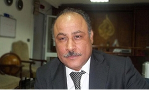 المحامى والناشط الحقوقى ناصر أمين
