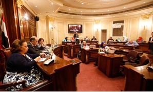 اجتماع سابق للجنة التضامن بالبرلمان