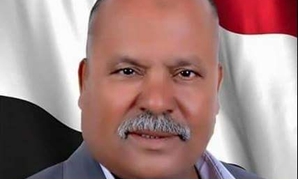 أحمد أبو خليل عضو لجنة الزراعة بمجلس النواب