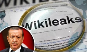 واجهة موقع ويكليكس والرئيس التركى رجب طيب أردوغان