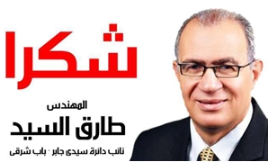 طارق السيد