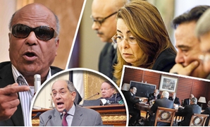 وزيرة التضامن تدافع عن نظام مبارك