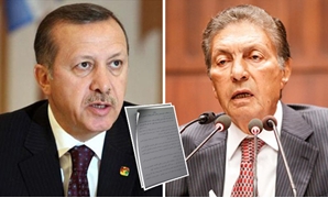 الجمال يعلق على هجوم أردوغان على مصر