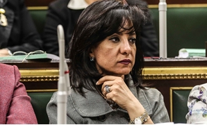 النائبة داليا يوسف عضو لجنة العلاقات الخارجية بمجلس النواب