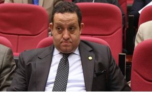 محمد عبد الغنى عضو مجلس النواب