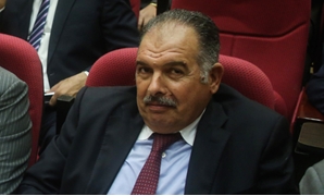 النائب عادل عامر، عضو مجلس النواب