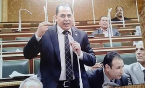 النائب أحمد فاروق عضو مجلس النواب