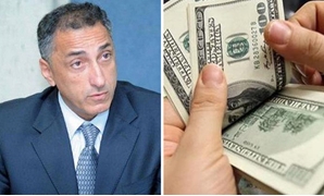  طارق عامر رئيس البنك المركزى 
