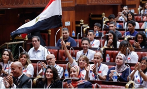 لقاء أبناء المصريين بالخارج مع نواب البرلمان